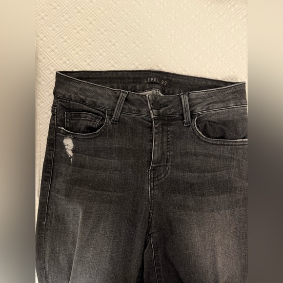 Level 99 Denim - Level 99 Dark Grey Distressed Jeans with Modern Cut